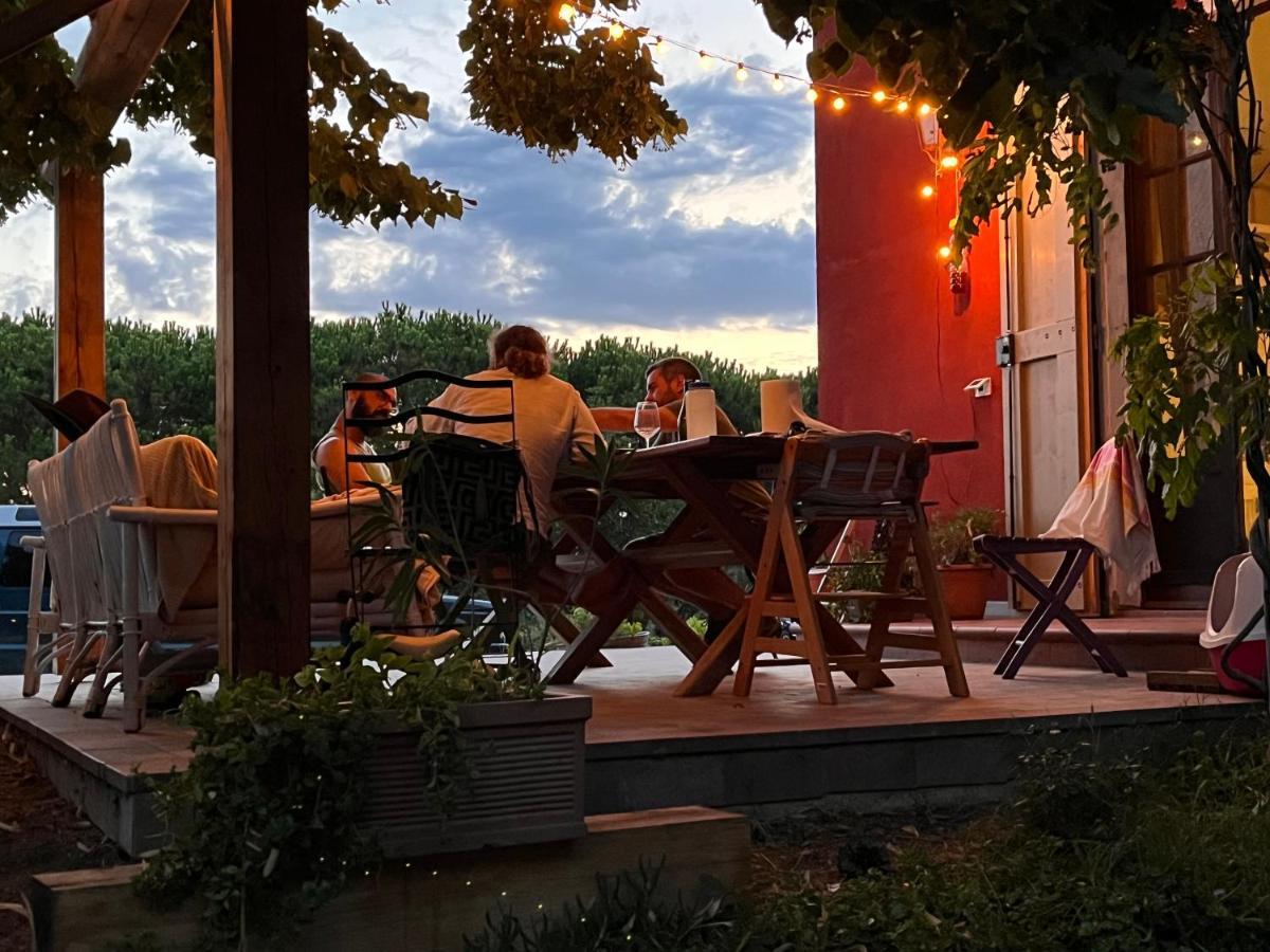 Podere Orzale Hospitality & Quarter Horses Usigliano Exterior foto