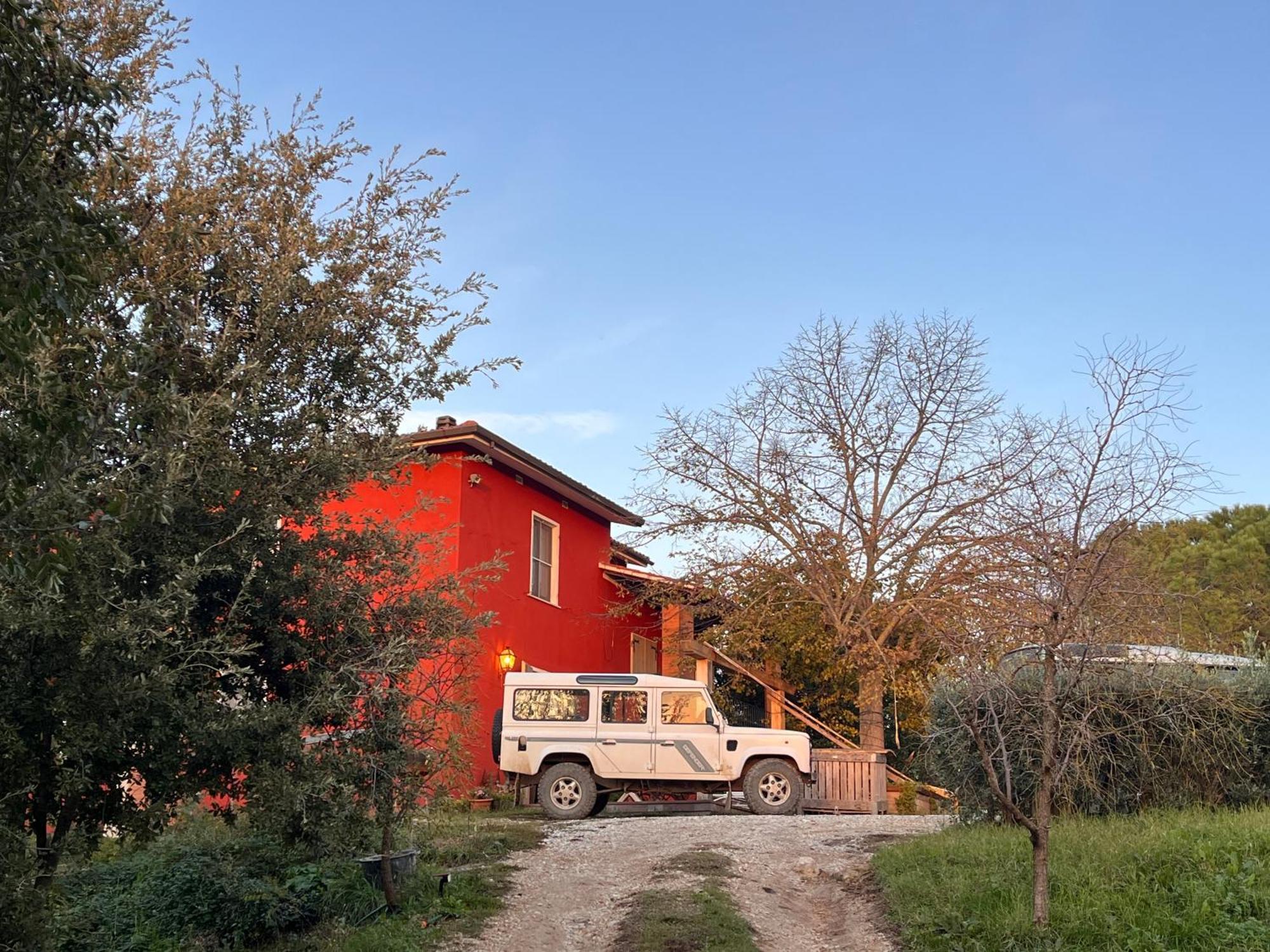 Podere Orzale Hospitality & Quarter Horses Usigliano Exterior foto