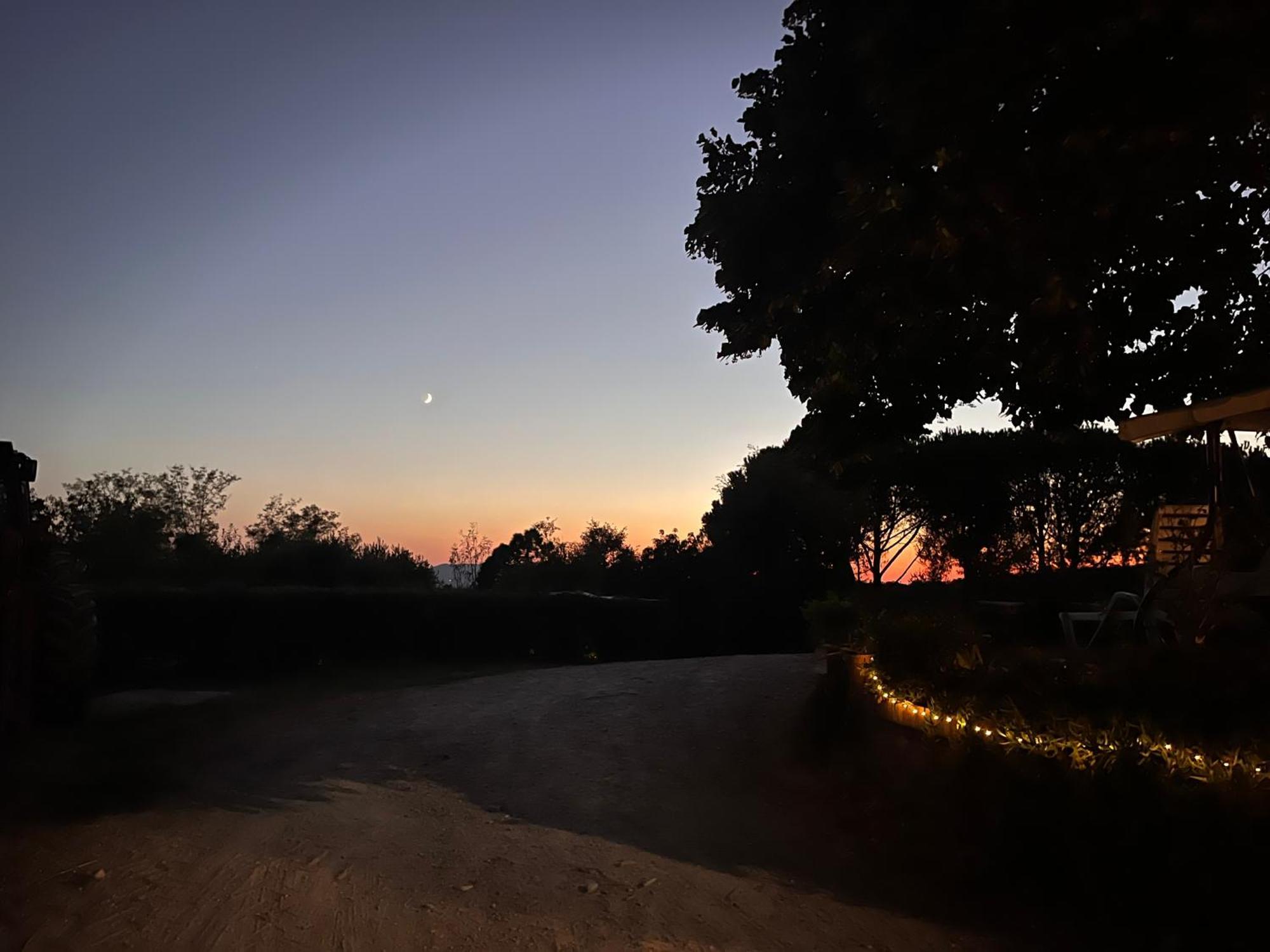 Podere Orzale Hospitality & Quarter Horses Usigliano Exterior foto