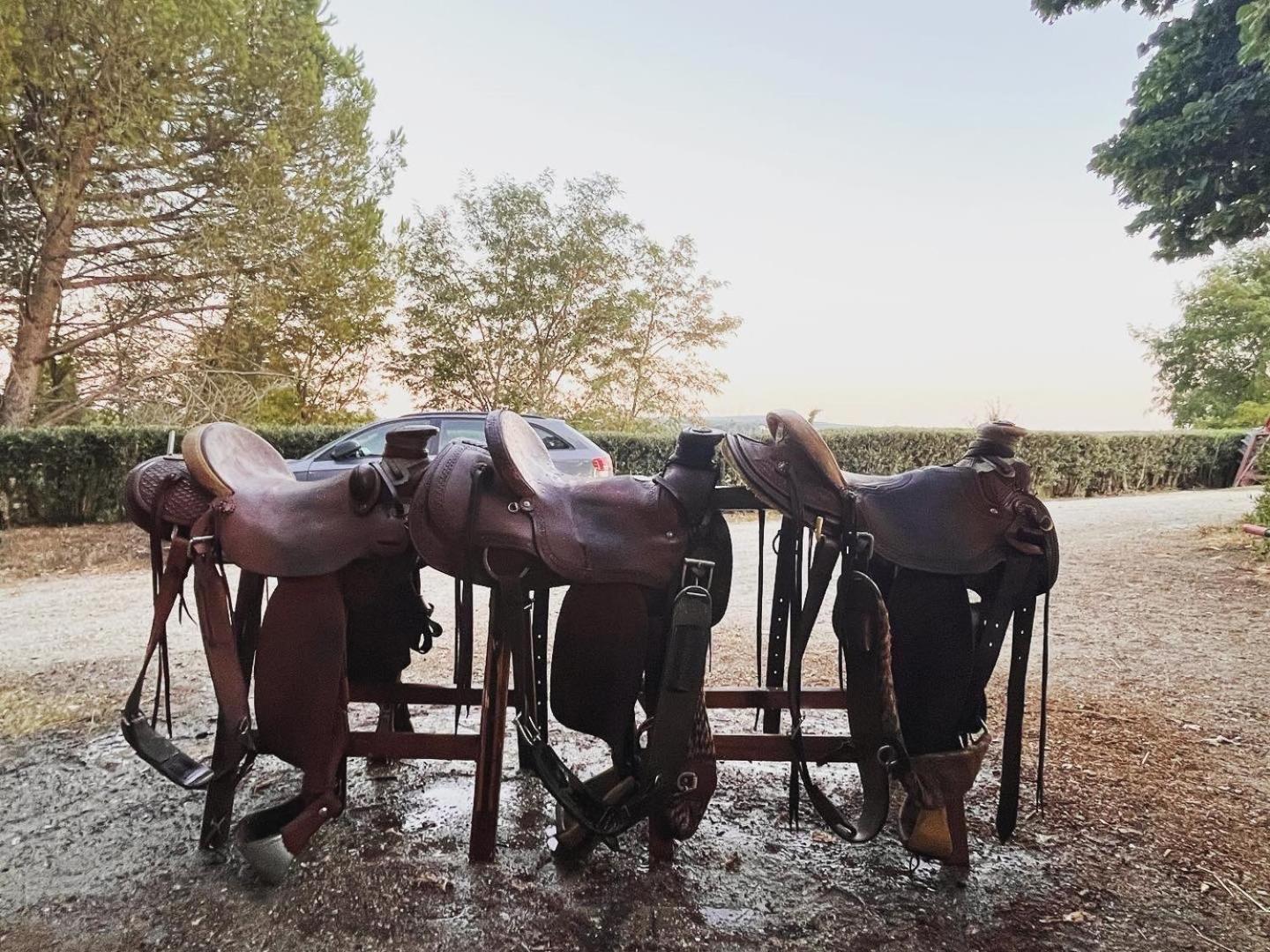 Podere Orzale Hospitality & Quarter Horses Usigliano Exterior foto