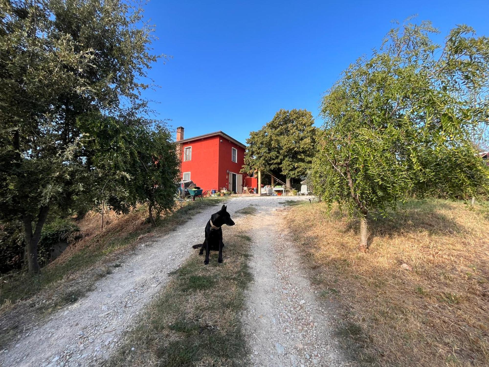 Podere Orzale Hospitality & Quarter Horses Usigliano Exterior foto