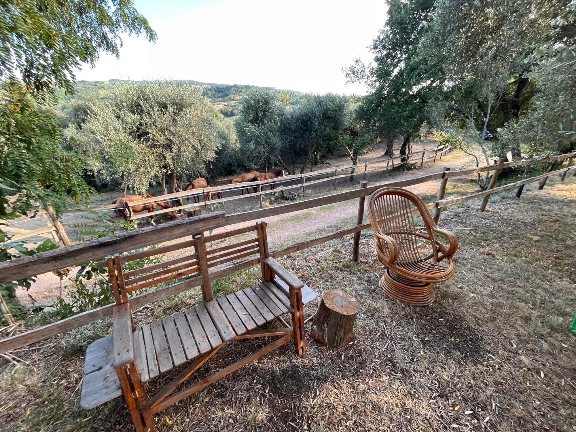 Podere Orzale Hospitality & Quarter Horses Usigliano Exterior foto