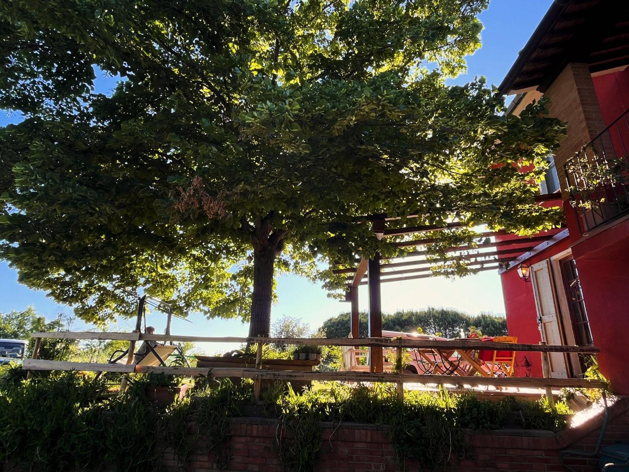 Podere Orzale Hospitality & Quarter Horses Usigliano Exterior foto