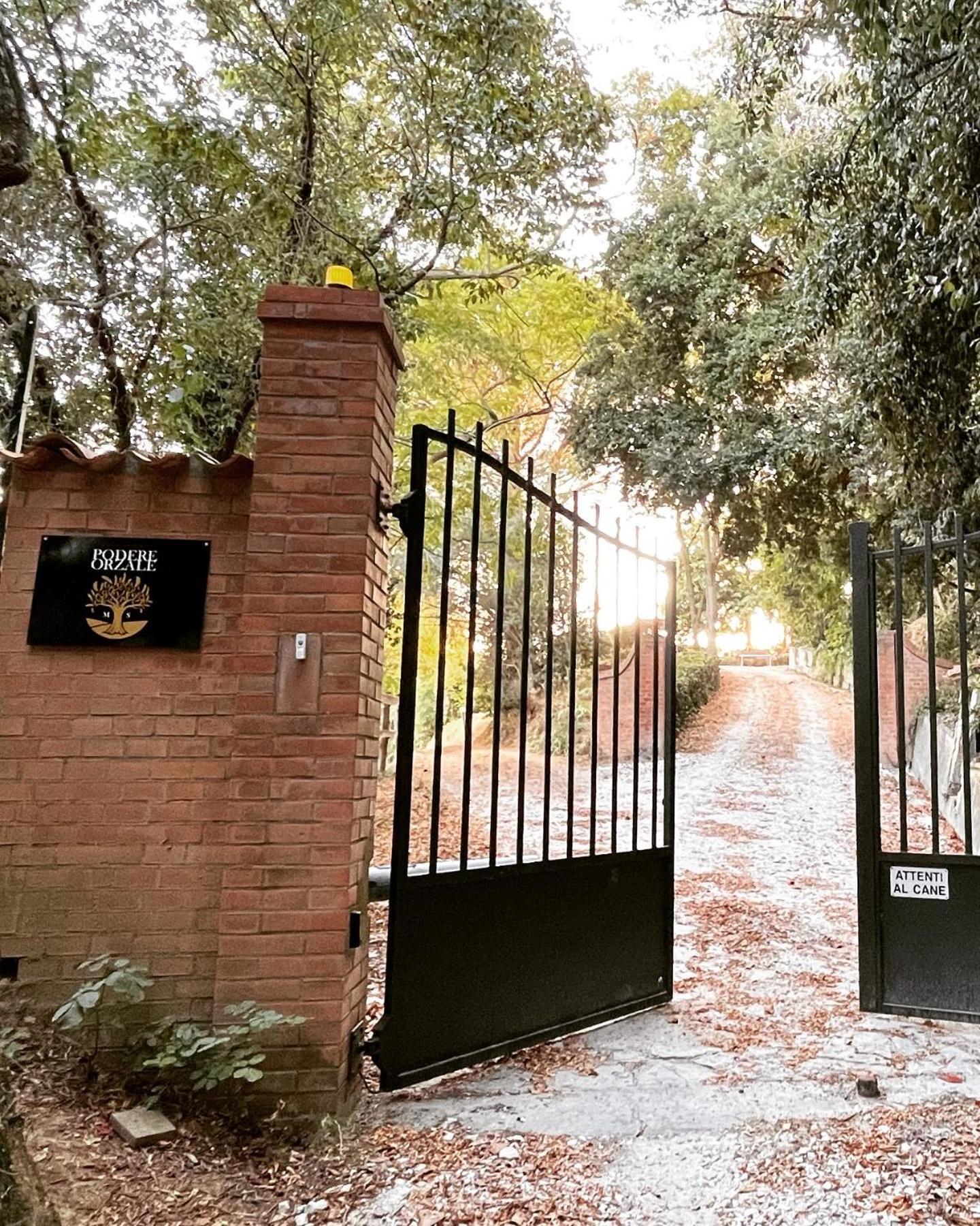 Podere Orzale Hospitality & Quarter Horses Usigliano Exterior foto