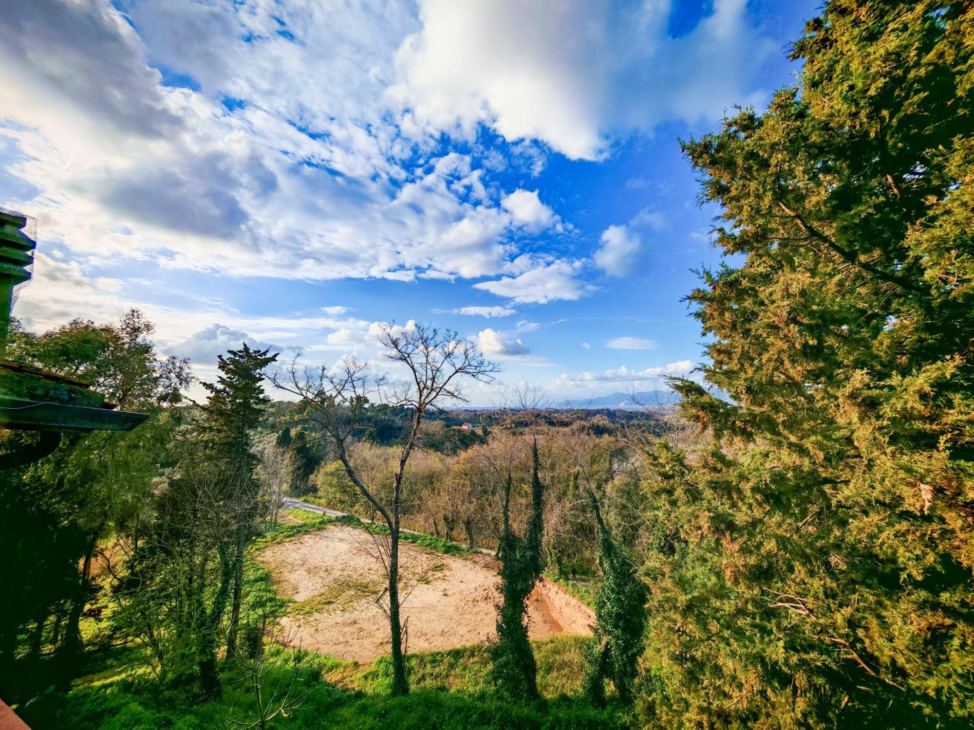 Podere Orzale Hospitality & Quarter Horses Usigliano Exterior foto